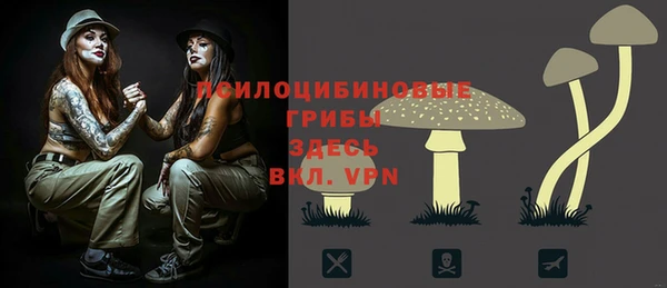mdpv Аша