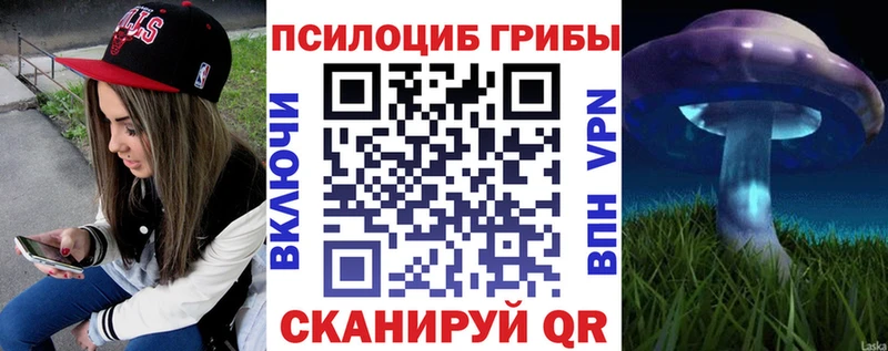сайты даркнета наркотические препараты Онега Псилоцибиновые грибы Psilocybine cubensis OMG ссылка